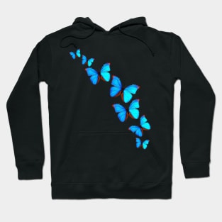 A Kaleidoscope of Butterflies Hoodie